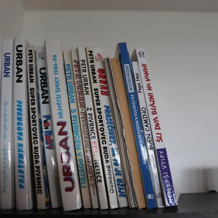 Kynast Albrechtice v Jizerskych horach